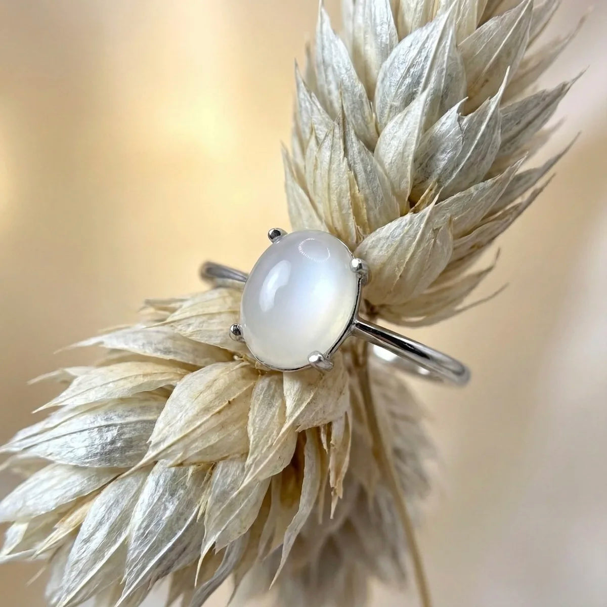 Bague en pierre de lune véritable sertie griffe sur un anneau en argent rhodié brillant.